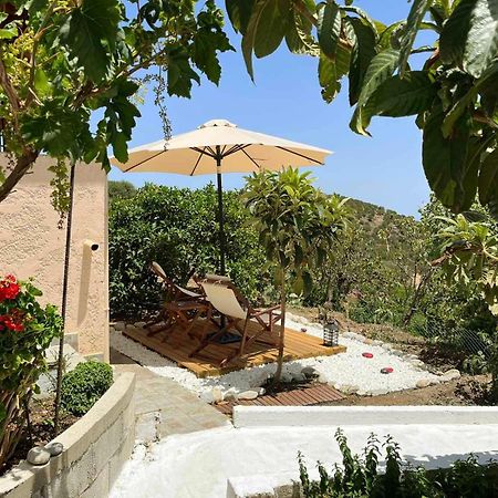 The Garden House, Sitia Leilighet Eksteriør bilde